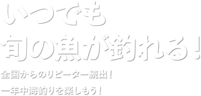 いつでも旬の魚が釣れる！